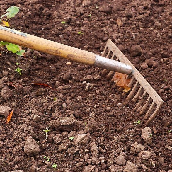 How to prepare best soil for a healthy garden? - Nurserylive