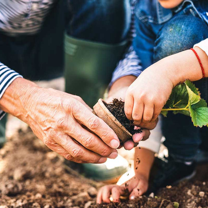 Gardening adds years to your life and life to your years - Nurserylive