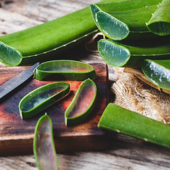 Aloe Vera - The Plant of Immortality