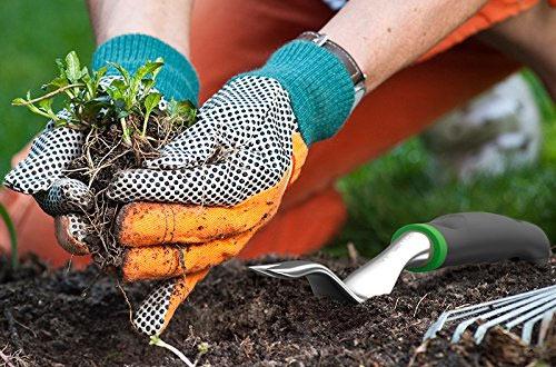 Best landscaping and gardening tools you've been looking for - Nurserylive