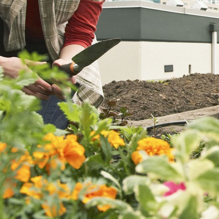 I am a gardener- what's your superpower? - Nurserylive