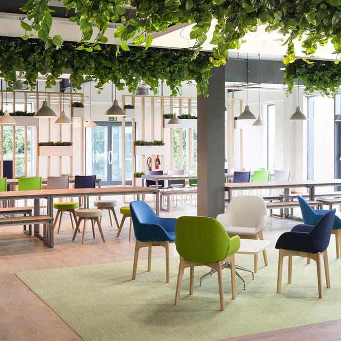 Plantscaping (1/4) - How top co-working spaces are modernizing the workplace - Nurserylive