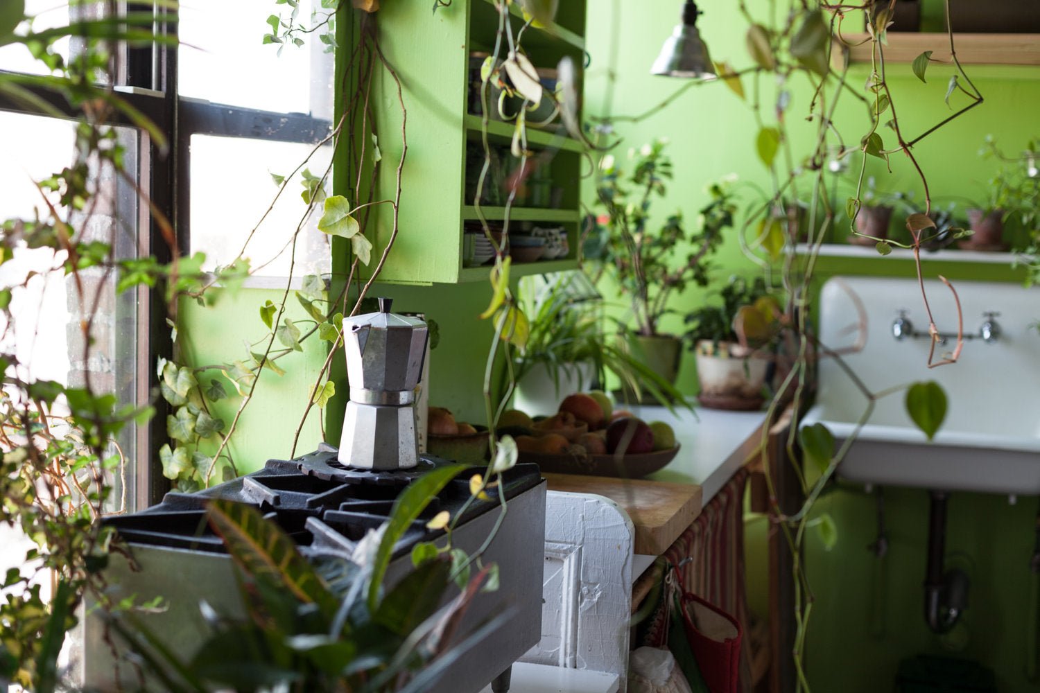 These 12 practices could be killing your plants