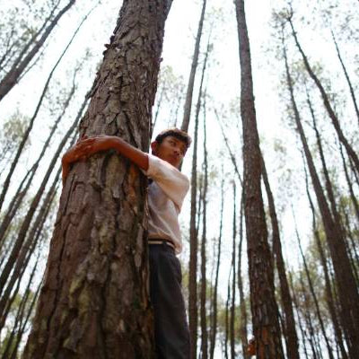 "We are standing up for woods and trees"- Let's celebrate Tree Day!