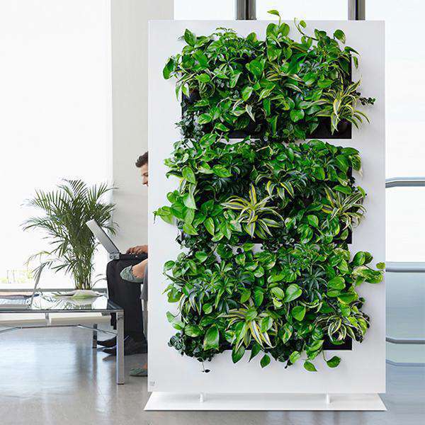 Vertical Garden