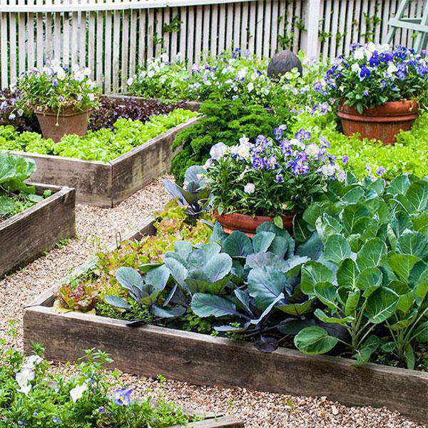 Month Wise Gardening