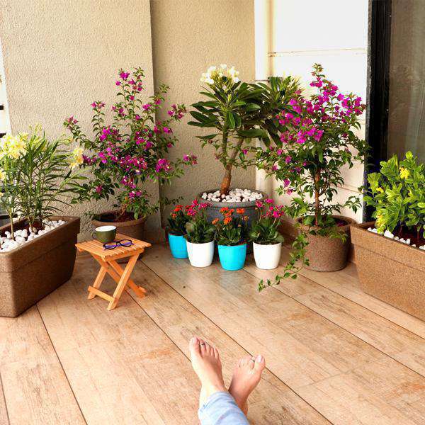 Balcony Garden