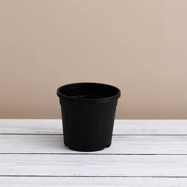 Upto 6 inch (15 cm) Planters