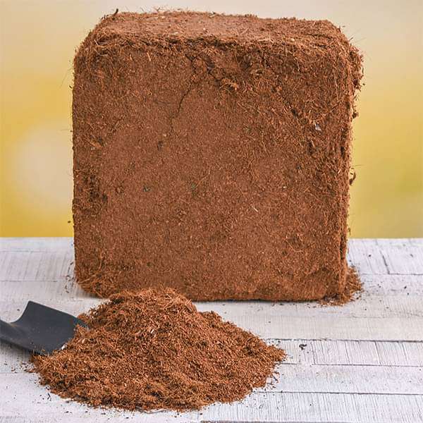 Cocopeat