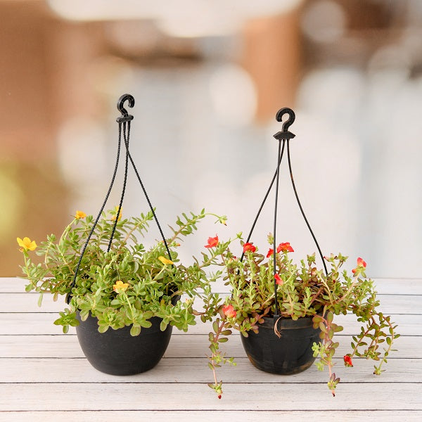 Planter Accessories