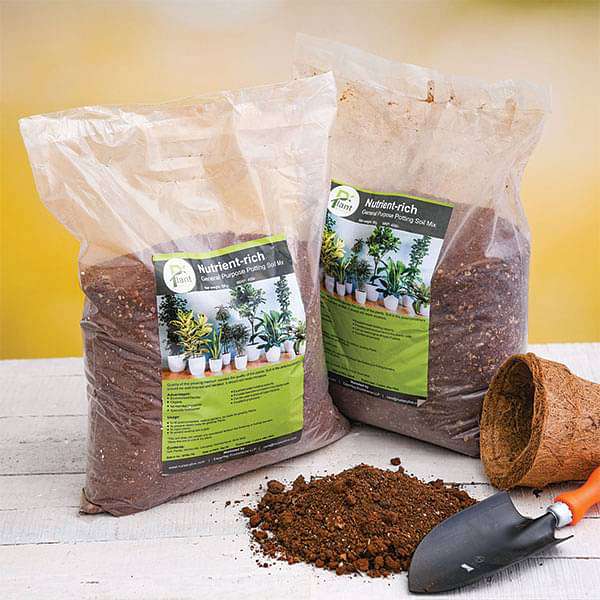 Potting Soil