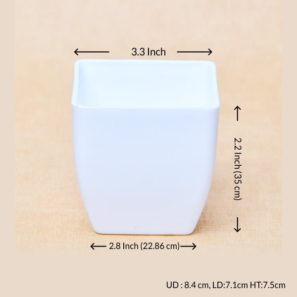 3.3 inch (8 cm) Square Plastic Planter with Rounded Edges