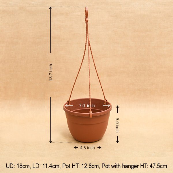 7.1 inch (18 cm) Corsica No. 18 Hanging Round Plastic Pot