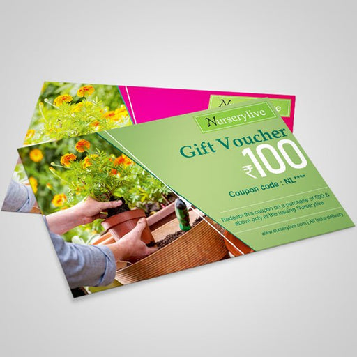 nurserylive e - gift card