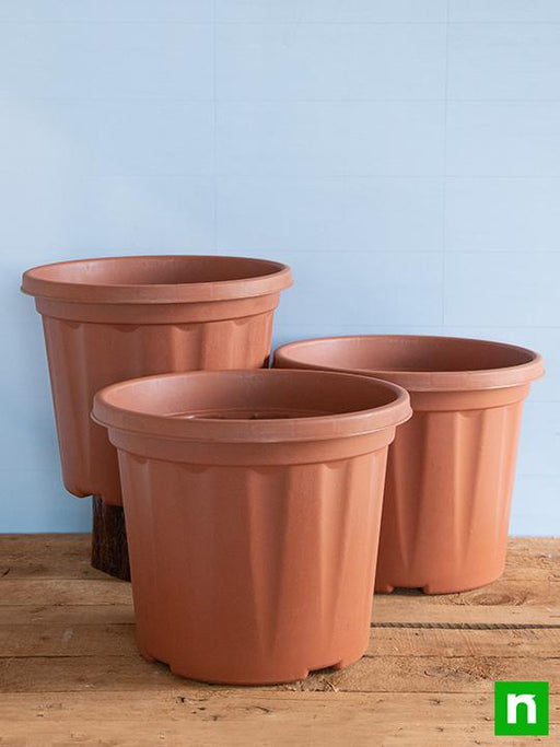 12 inch (30 cm) grower round plastic pot (terracotta color) (set of 3) 