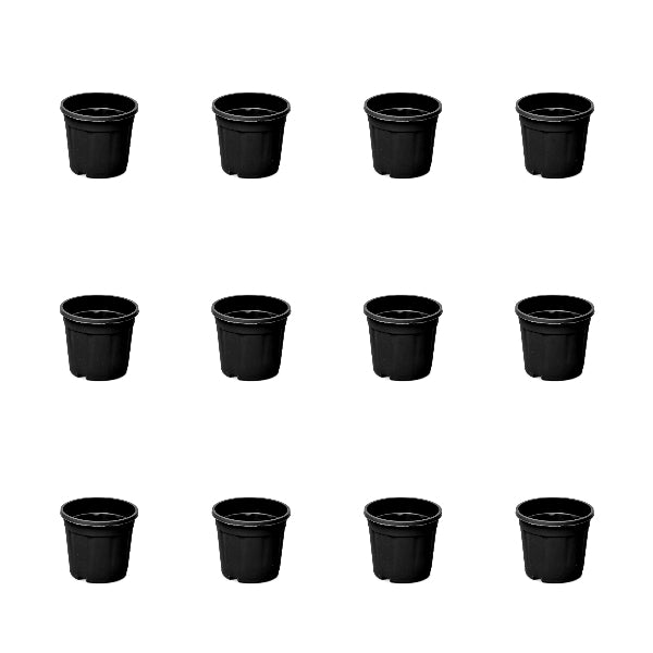 3 inch (8 cm) Grower Round Plastic Pot (Set of 12)(Black)(Without Plate)