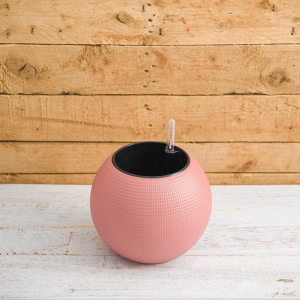 4.9 inch (12 cm) gw 01 self watering round plastic planter (pink) 