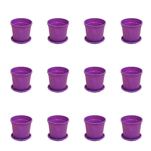 4 inch (10 cm) Grower Round Plastic Pot (Set of 12)(Violet)(With Plate)