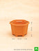 5.3 inch (13 cm) hexa no. 1 plastic planter (terracotta color) (set of 6) 