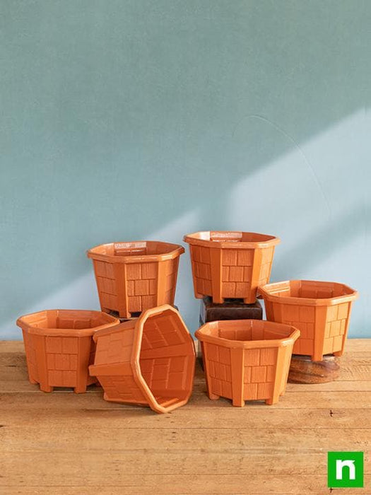 6.5 inch (17 cm) hexa no. 2 plastic planter (terracotta color) (set of 6) 