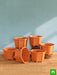 6.5 inch (17 cm) hexa no. 2 plastic planter (terracotta color) (set of 6) 