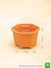 6.5 inch (17 cm) hexa no. 2 plastic planter (terracotta color) (set of 6) 