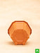 6.5 inch (17 cm) hexa no. 2 plastic planter (terracotta color) (set of 6) 