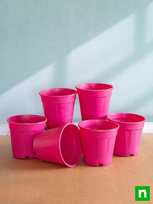 6 inch (15 cm) grower round plastic pot (dark pink) (set of 6) 