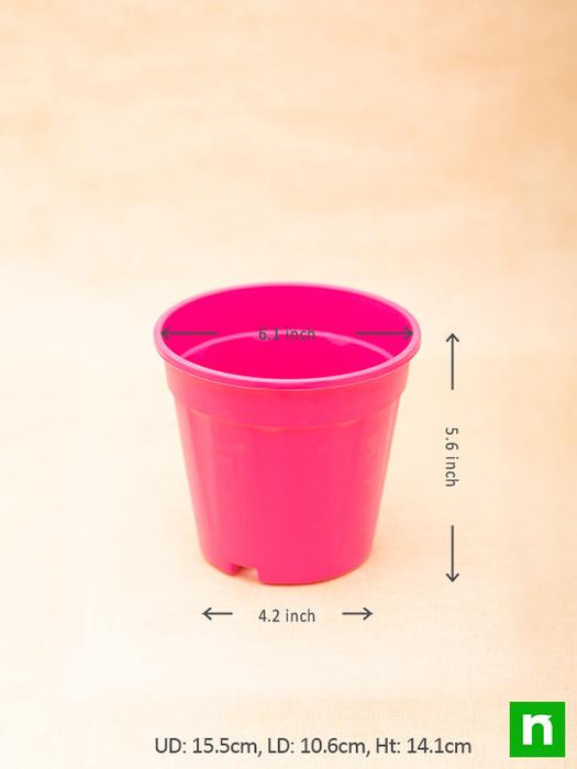 6 inch (15 cm) grower round plastic pot (dark pink) (set of 6) 