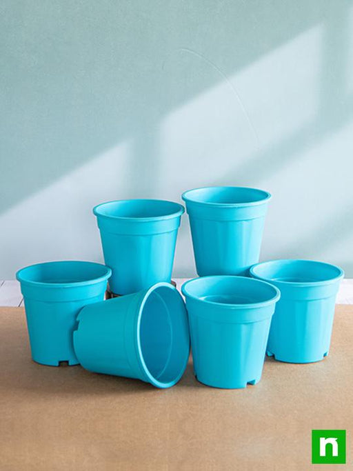 6 inch (15 cm) grower round plastic pot (sky blue) (set of 6) 