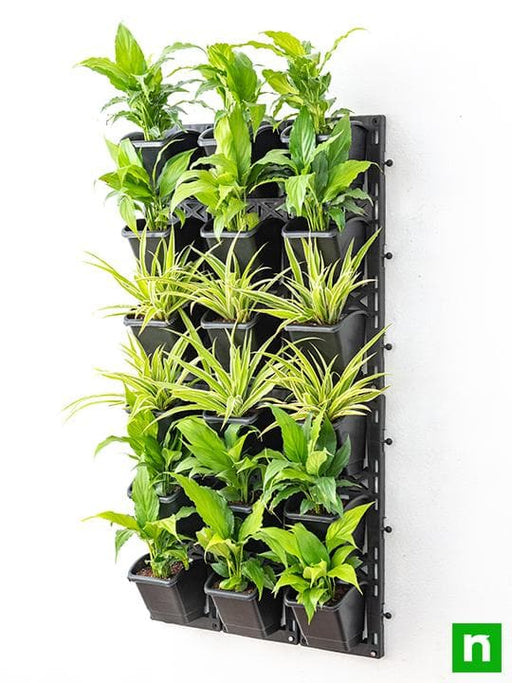 air purifier green wall for indoor space 