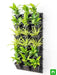 air purifier green wall for indoor space 