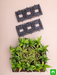 air purifier green wall for indoor space 