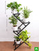 amazing plants on metal stand for indirect light receiving home space 