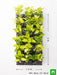 beautiful golden foliage plants for vertical garden 