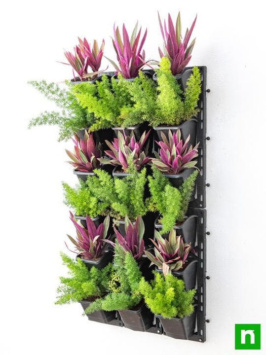 best foliage plants to beautify outdoor vertical garden 