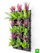 best foliage plants to beautify outdoor vertical garden 