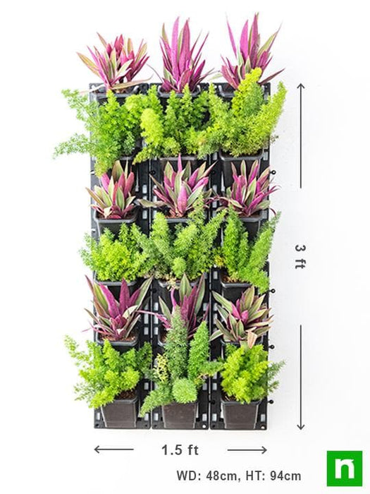 best foliage plants to beautify outdoor vertical garden 