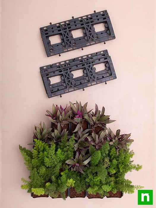 best foliage plants to beautify outdoor vertical garden 