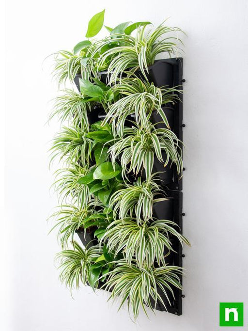 best indoor survivals for vertical garden 