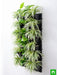 best indoor survivals for vertical garden 