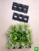 best indoor survivals for vertical garden 