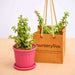 elephant bush - corporate gift (set of 30)