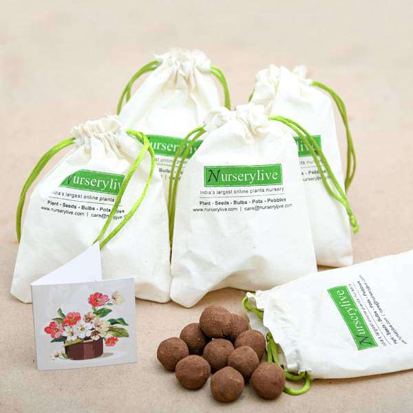 flowering seed balls - corporate gift (set of 30)