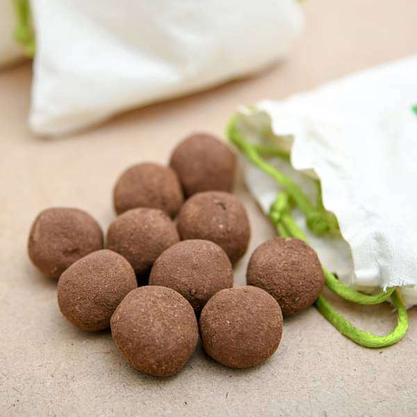 flowering seed balls - corporate gift (set of 30)