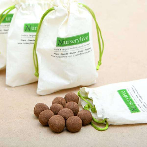 flowering seed balls - corporate gift (set of 30)