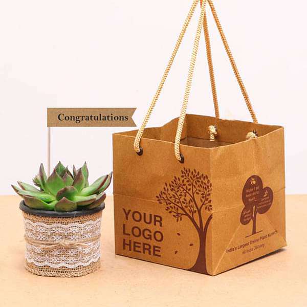 splendid succulents - corporate gift (set of 30)