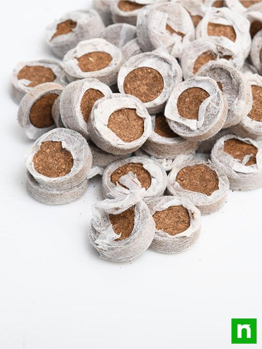 coir coin (netted 