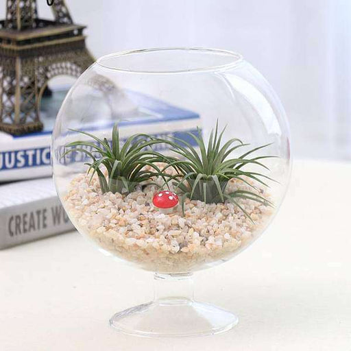 decor terrarium with pebbles 