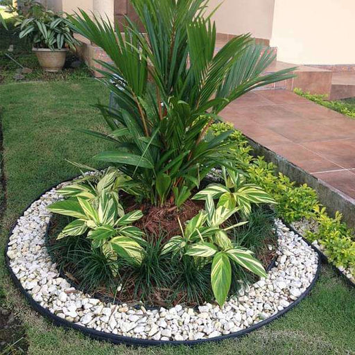 pebbles border around plants 